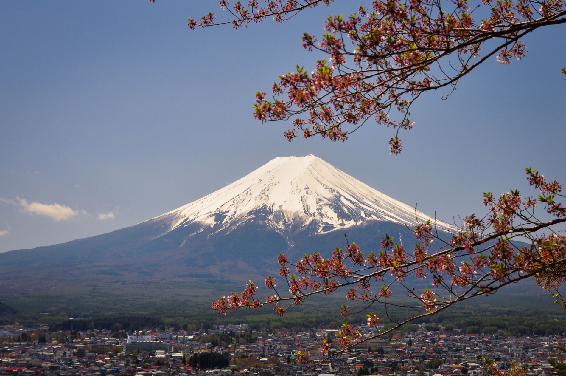 Japón