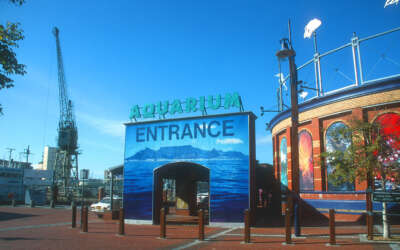 Acuario Two Oceans en Ciudad del Cabo